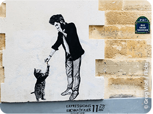 Les expressions imagées